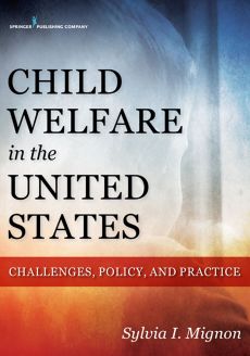Child Welfare in the United States image
