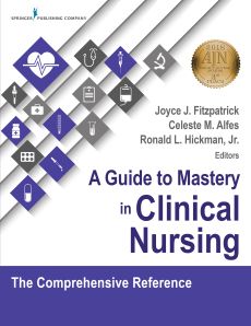 A Guide to Mastery in Clinical Nursing image