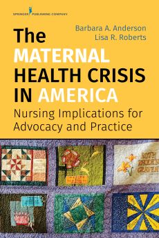 The Maternal Health Crisis in America image
