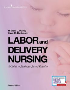Labor and Delivery Nursing, Second Edition image