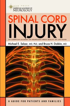 Spinal Cord Injury image